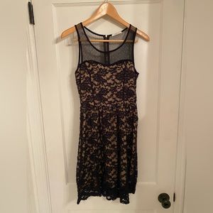 Black and Cream, Lace Dress, Amber Blue